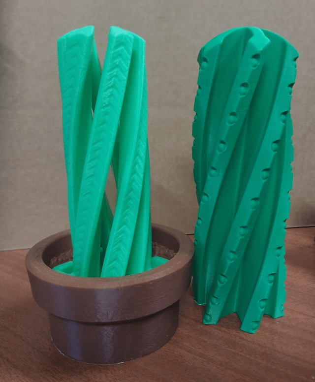 Cactus Helix Fidget