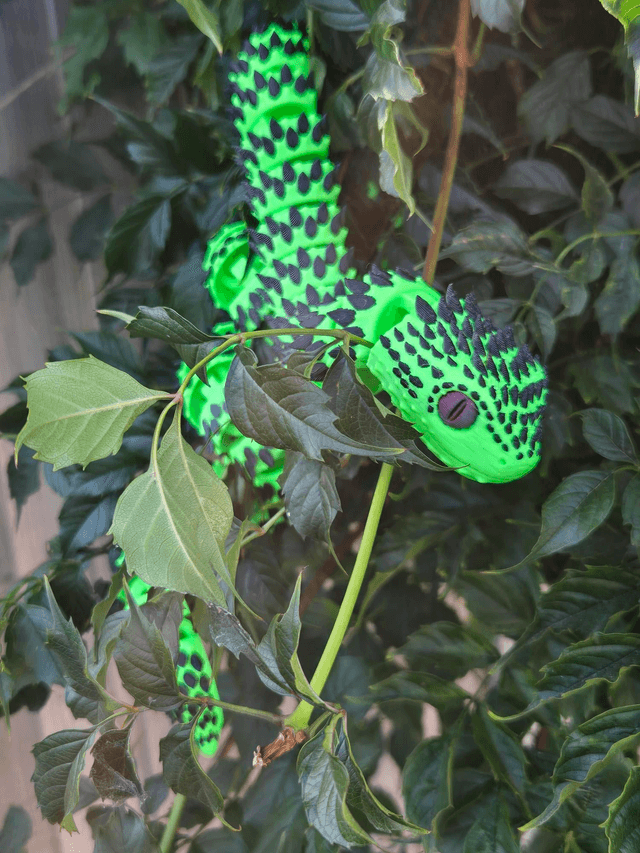 Articulated Spiny bush viper - 85cm long