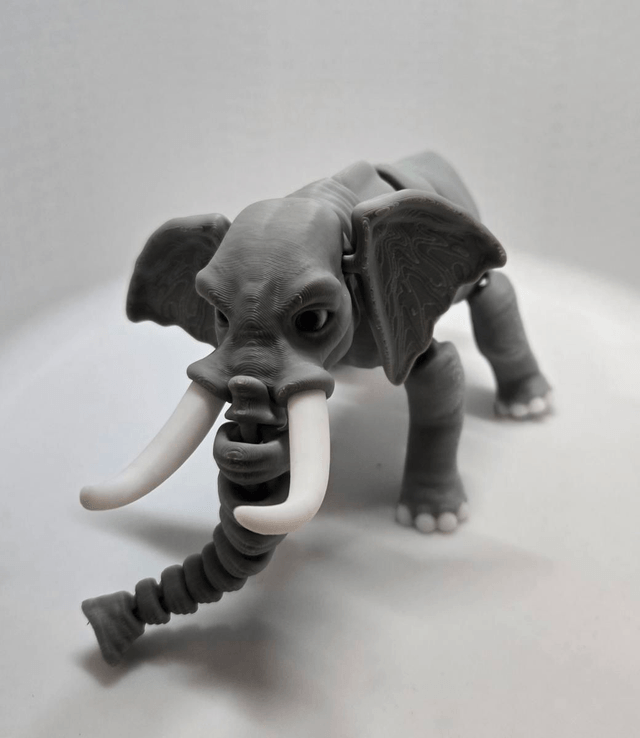 Safari Animal collection