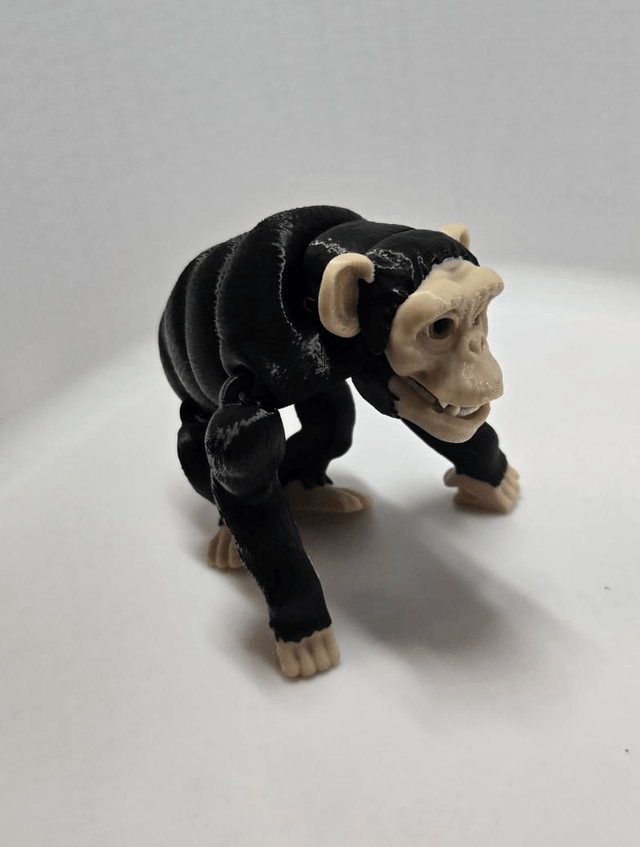 Safari Animal collection