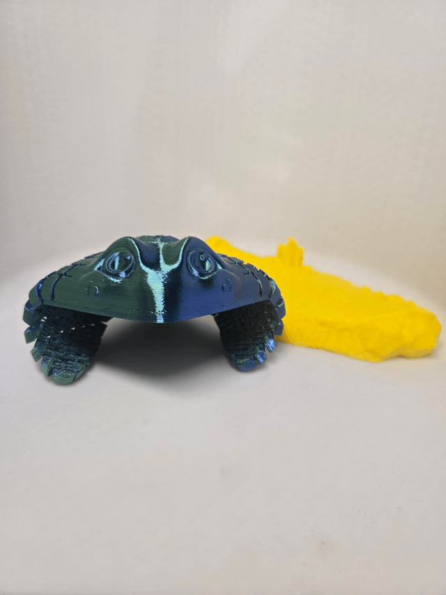 Ray, The Manta Ray.