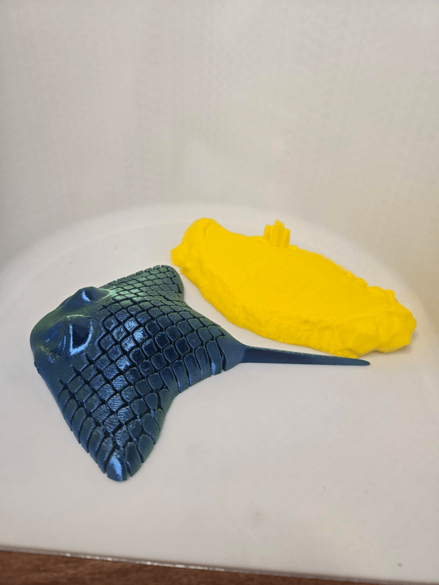Ray, The Manta Ray.