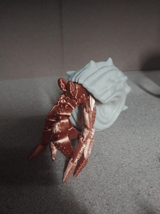 Hermit crab