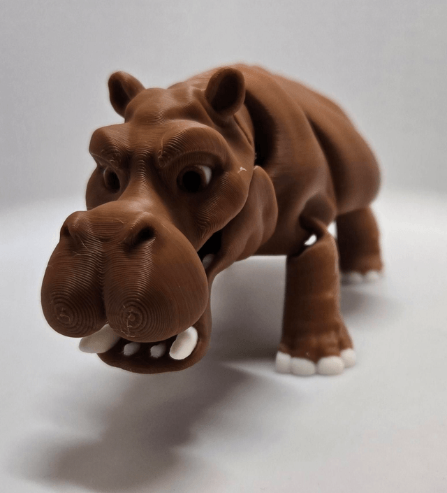 Safari Animal collection