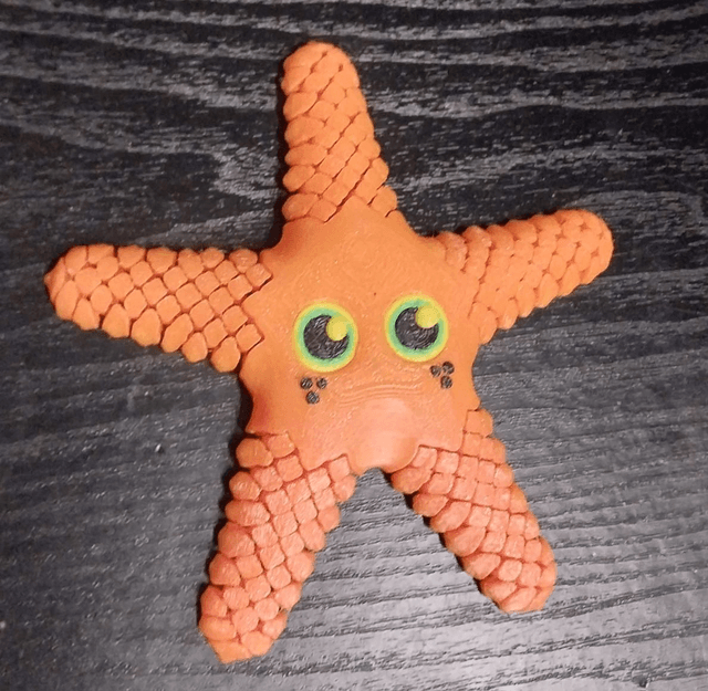 Starfish fidget toy