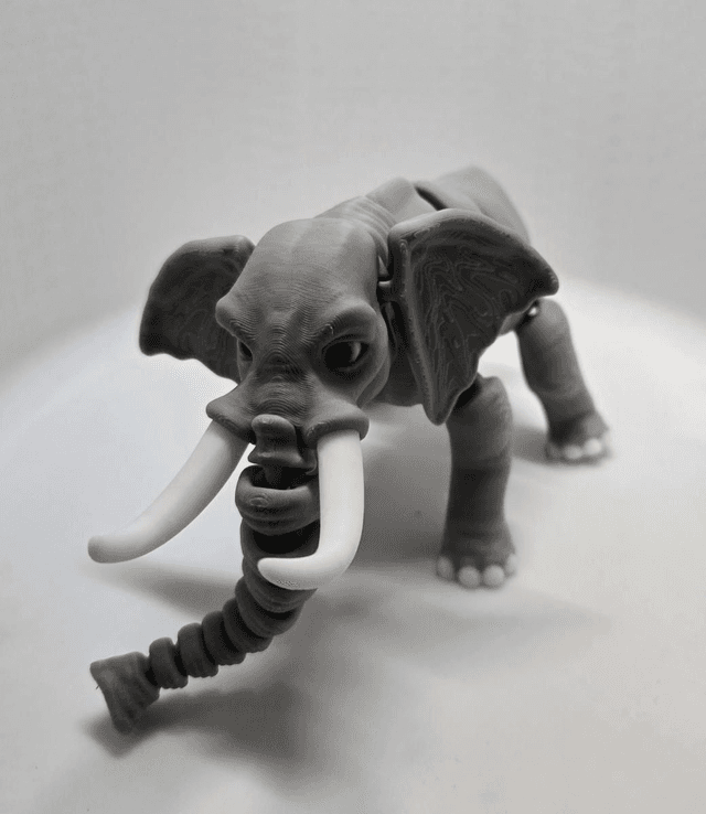 Safari Animal collection