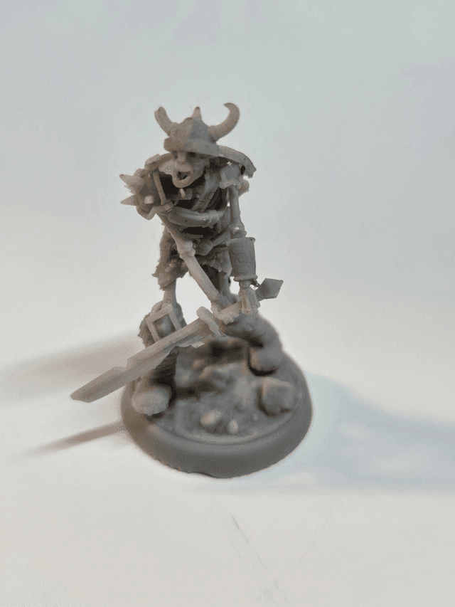 Skeleton warrior